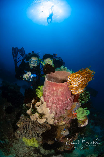 plongée sous-marine objectif atlantide Philippines
